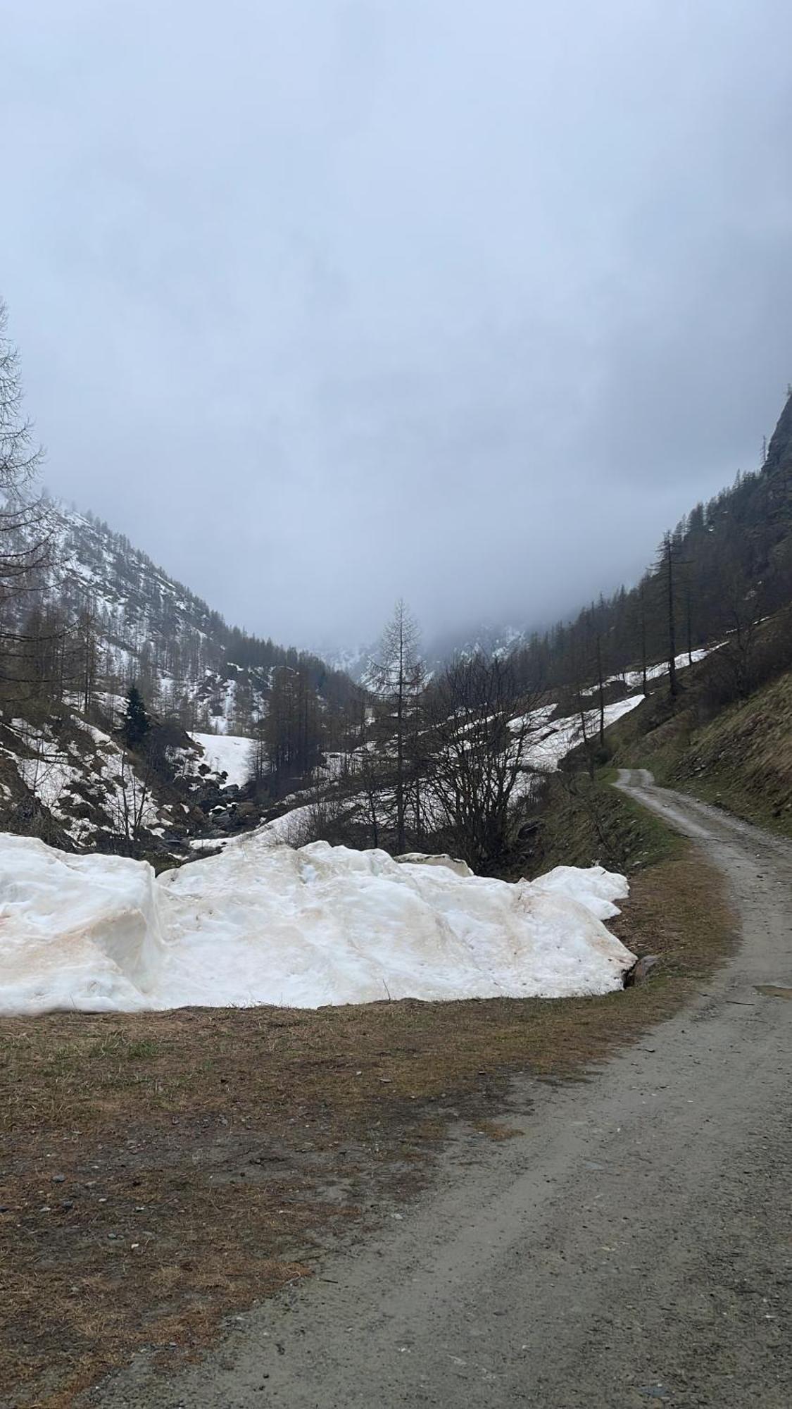 Laghi Di Como Appartamento Di Licinia E Mario Asso Zewnętrze zdjęcie